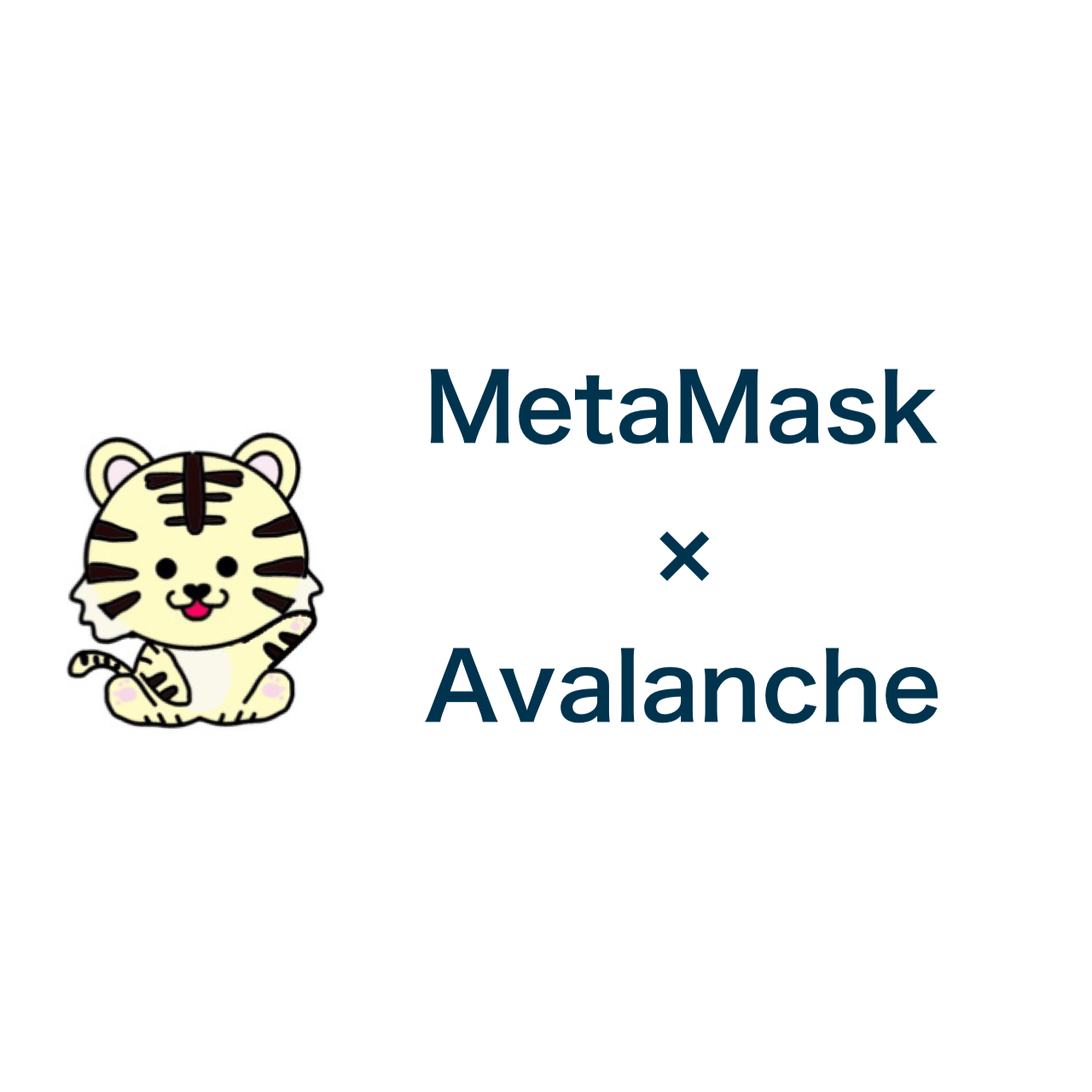 MetaMaskxAvalanche